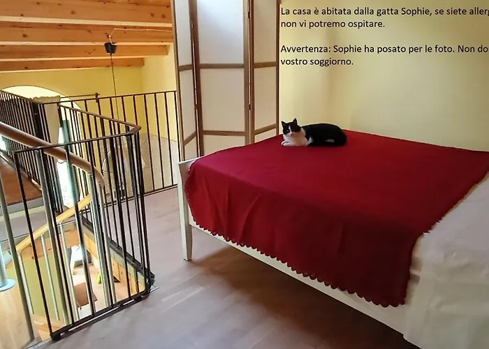 Pozzo Luce 아파트 *