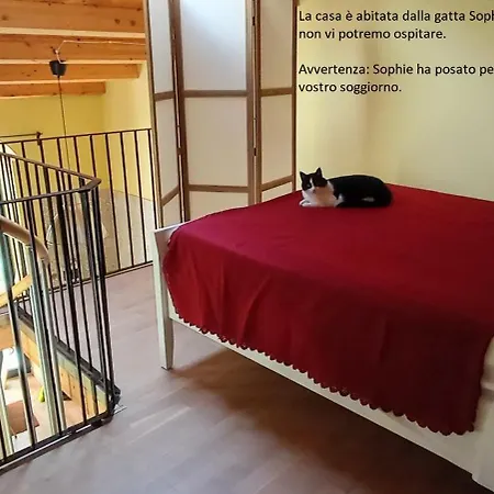Pozzo Luce Apartament *
